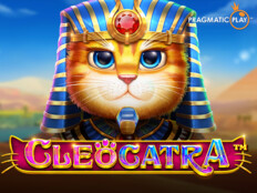 Muhabbet kuşu hakkında ilginç bilgiler. Slots 777 casino.70